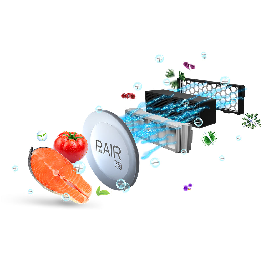 Toshiba double door refrigerator, 835L, Origin Inverter - GR-RT835WE-PMF(04)