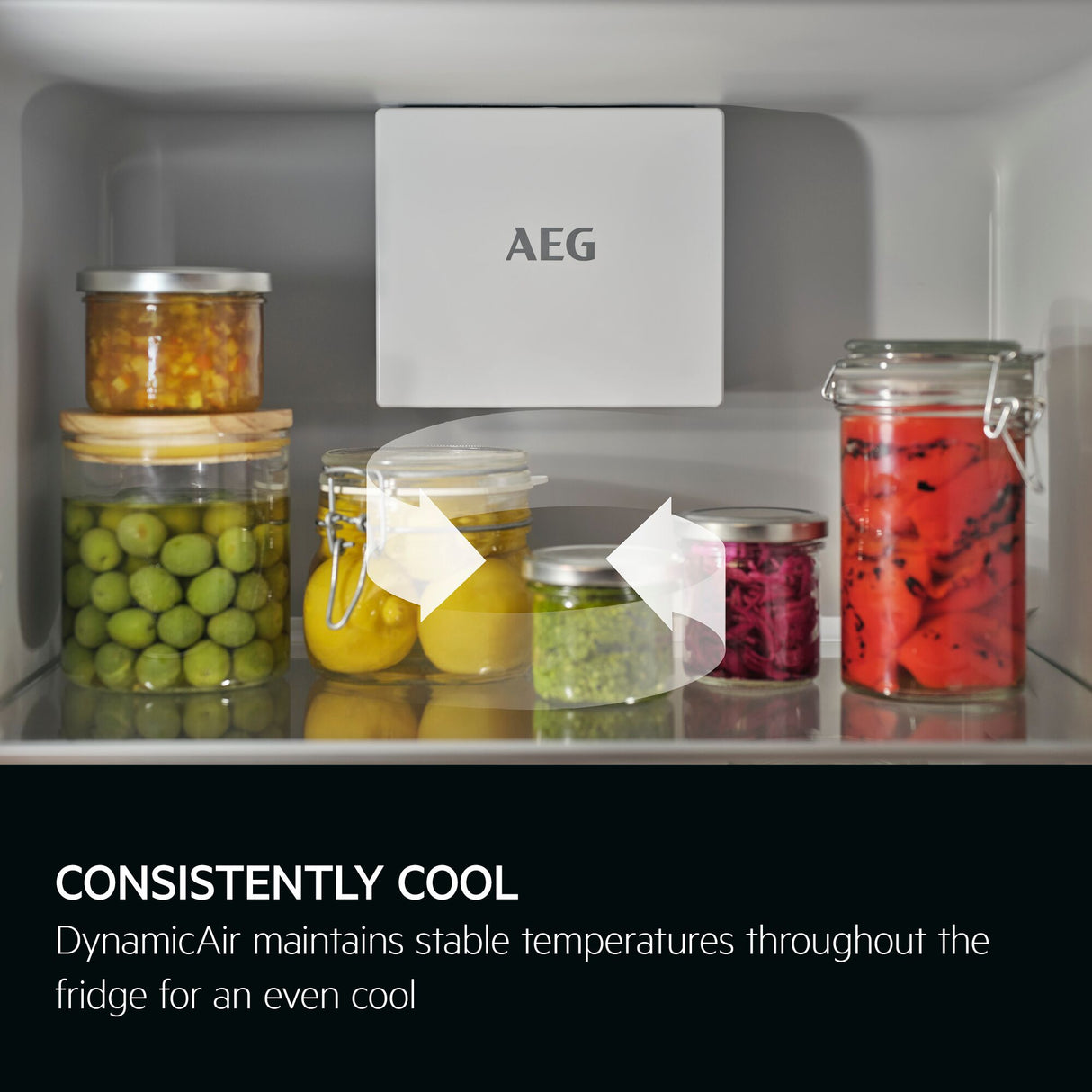 AEG Built-in Fully Fridge, 310 L - SKE81811DC